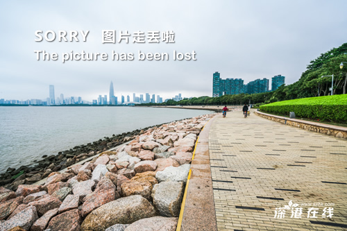 服务案例 第526页